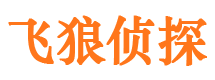 利川婚外情调查取证